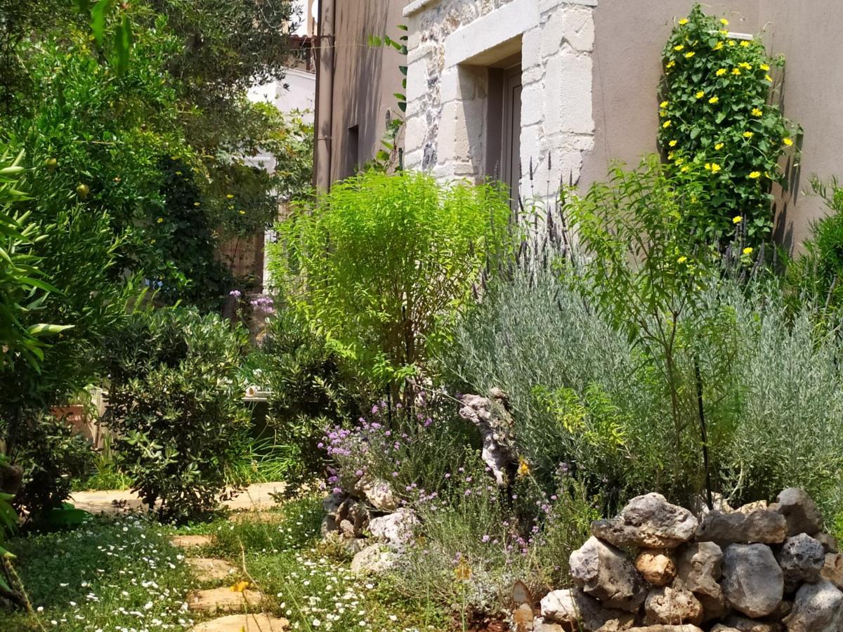 Olive Lemon Biophilic House & Lush Forest Garden Вамос Екстериор снимка