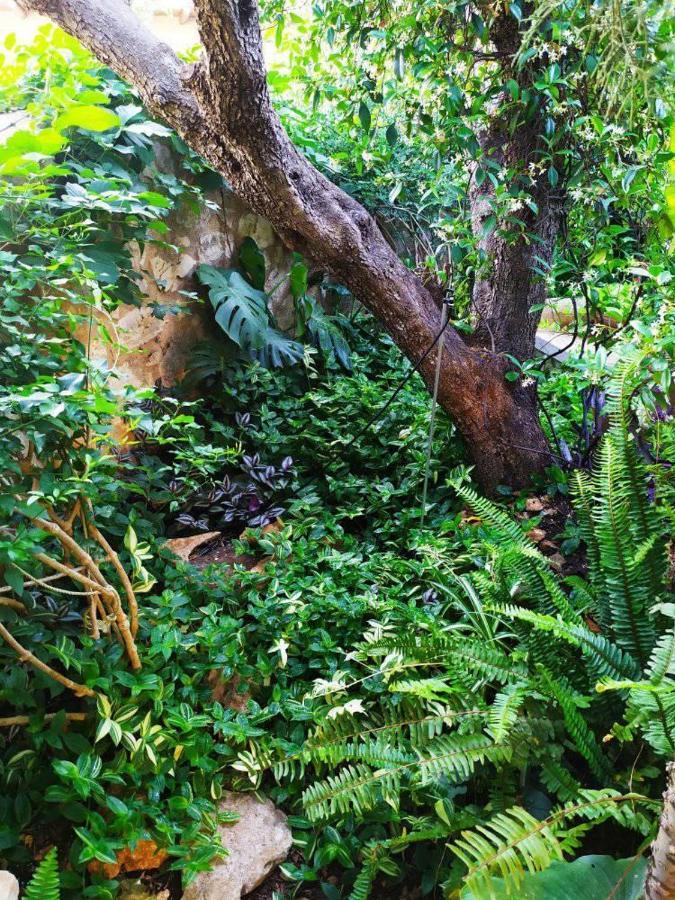 Olive Lemon Biophilic House & Lush Forest Garden Вамос Екстериор снимка
