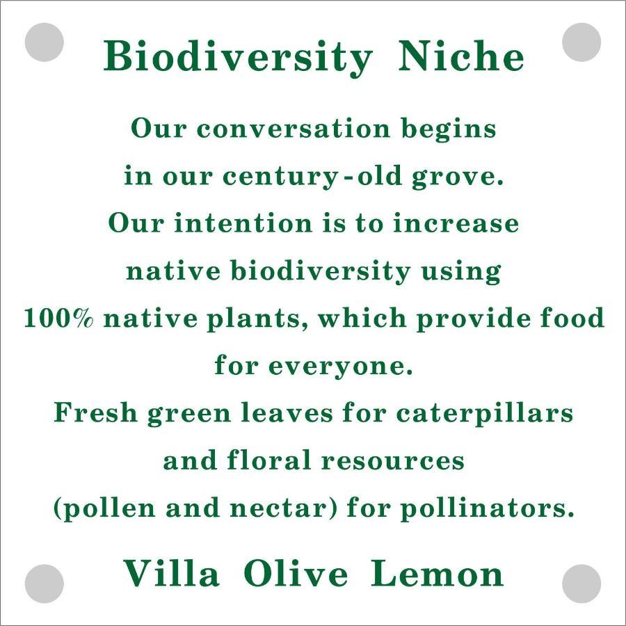 Olive Lemon Biophilic House & Lush Forest Garden Вамос Екстериор снимка