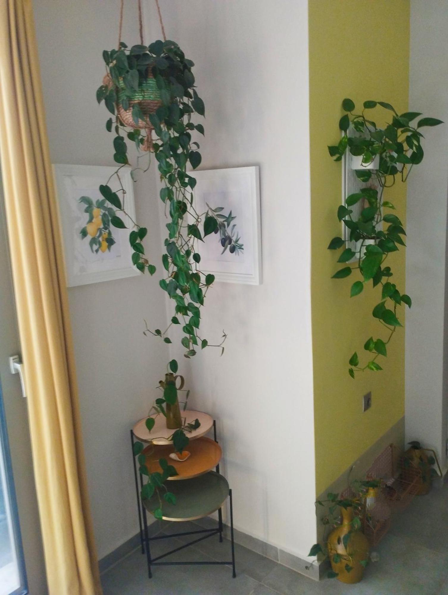Olive Lemon Biophilic House & Lush Forest Garden Вамос Екстериор снимка