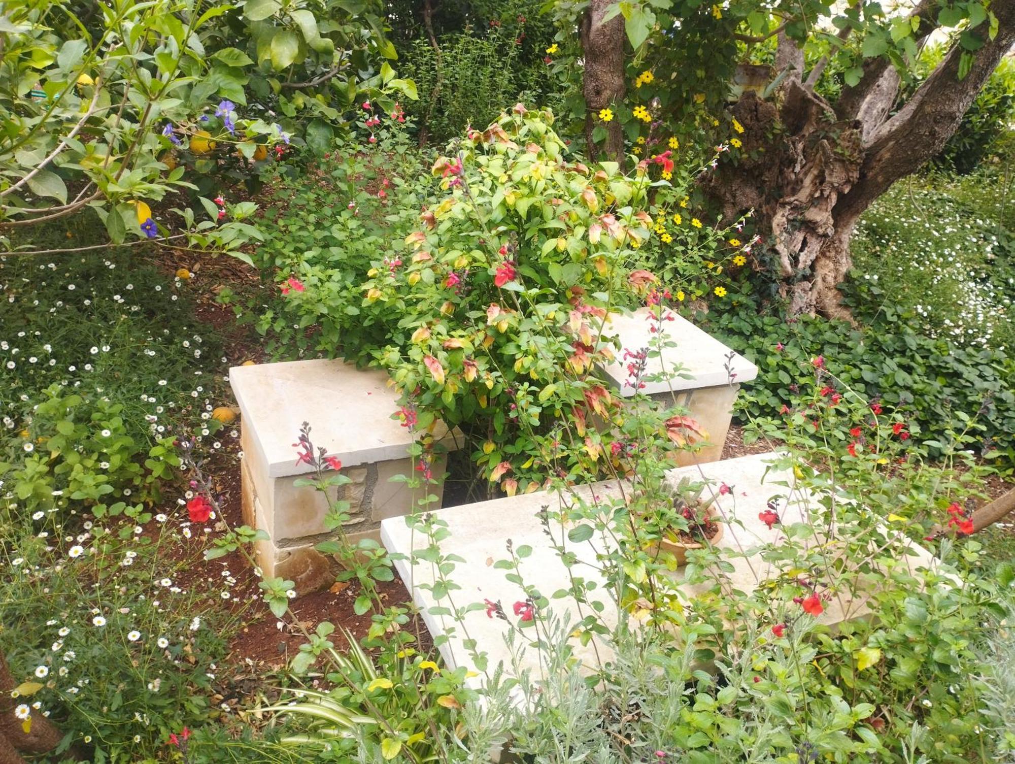 Olive Lemon Biophilic House & Lush Forest Garden Вамос Екстериор снимка