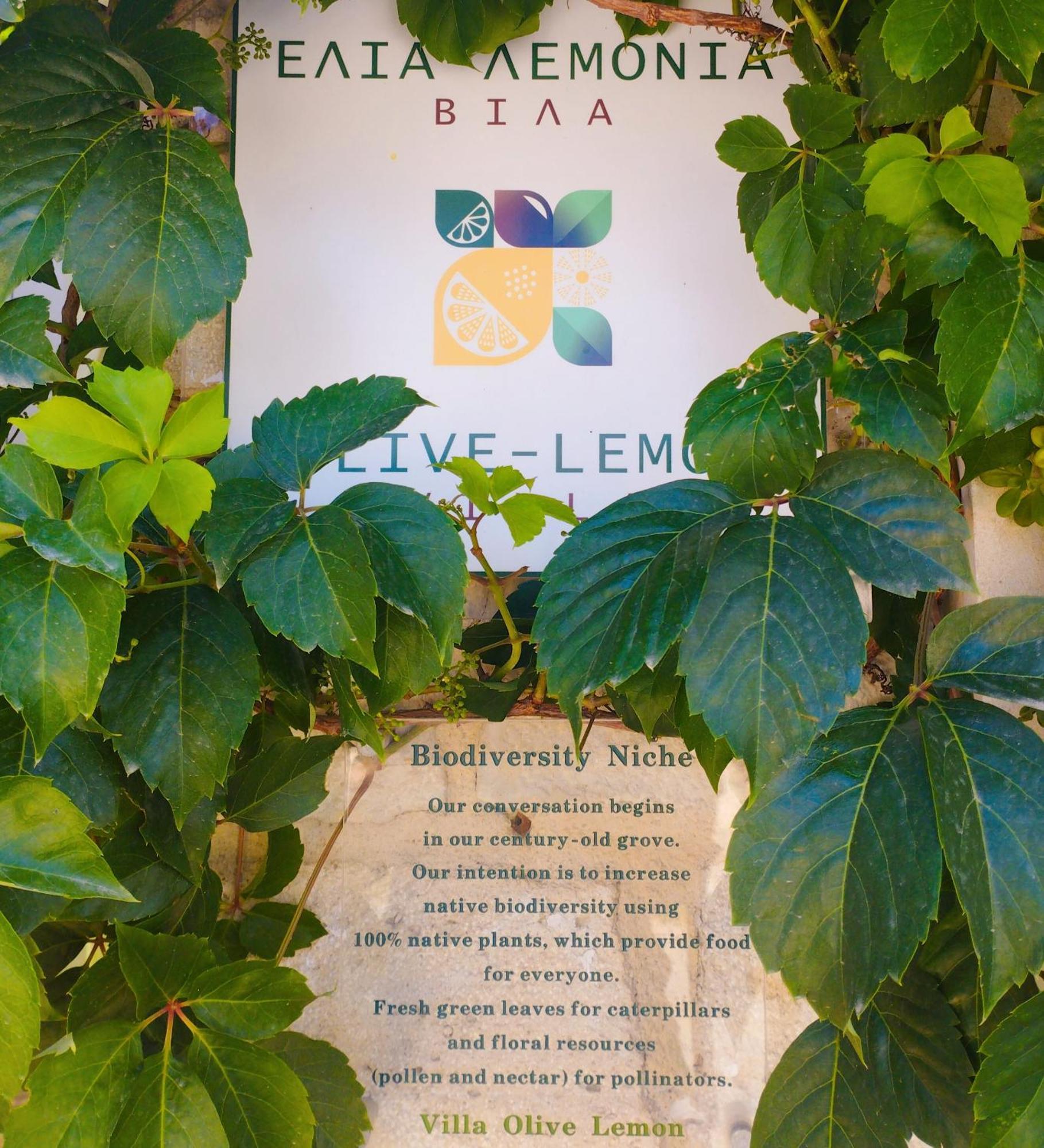 Olive Lemon Biophilic House & Lush Forest Garden Вамос Стая снимка